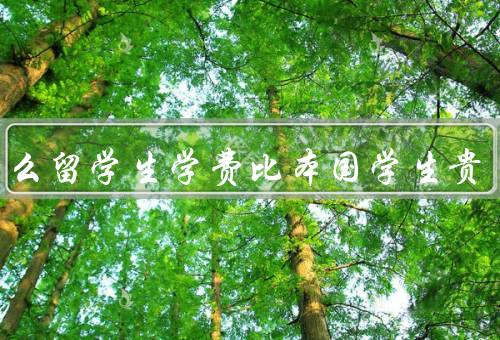 为什么留学生学费比本国学生贵（学校排名与声誉／服务／身份差异）