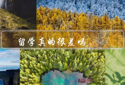 俄罗斯留学真的很差吗，留学生比例较高／教育资源丰富