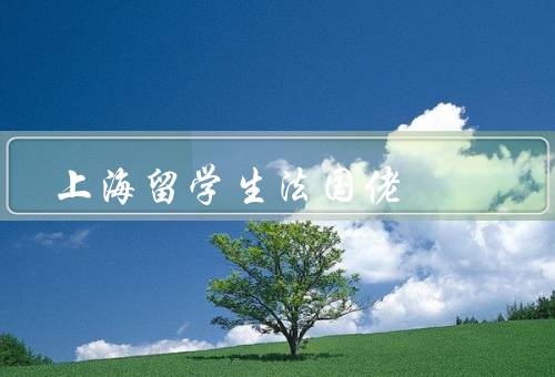 上海留学生法国佬，生活、学习经历、交流和合作