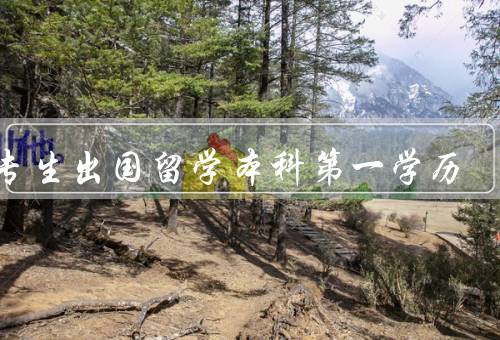 大专生出国留学本科第一学历（提升学历、拓宽专业领域）