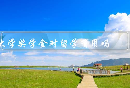 大学奖学金对留学有用吗，可以减轻经济负担