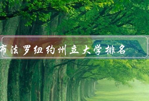 布法罗纽约州立大学排名，学术声誉／研究实力／国际影响力