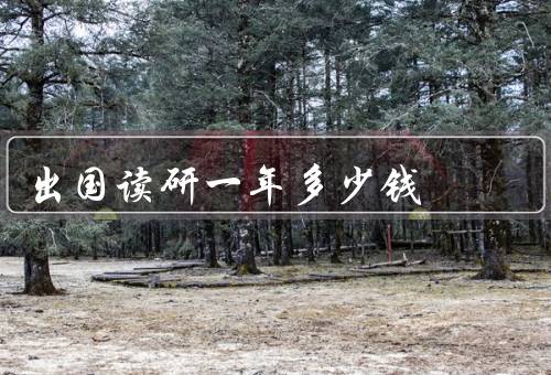 出国读研一年多少钱，学费、生活费、其他费用