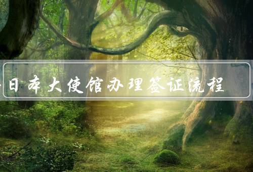 去日本大使馆办理签证流程，准备材料／预约／递交申请