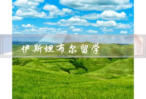 伊斯坦布尔留学，文化多样性／高等教育质量／生活便利性