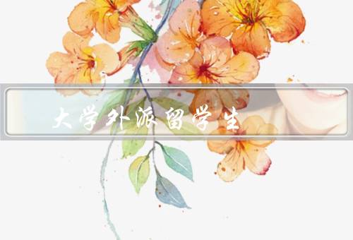 大学外派留学生，意义／挑战／建议