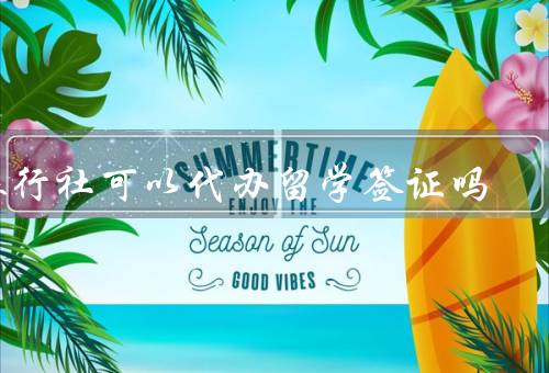 旅行社可以代办留学签证吗，能否代办留学签证、在留学准备中的作用