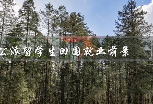 公派留学生回国就业前景，留学经历成为就业竞争力的独特优势
