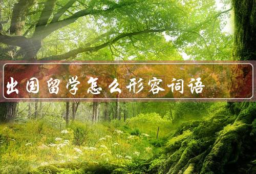 出国留学怎么形容词语，挑战／丰富／难忘