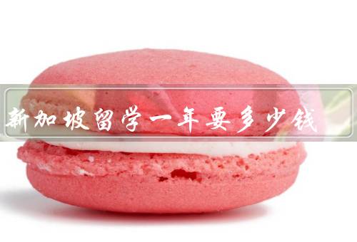 去新加坡留学一年要多少钱，学费、生活费、住宿费