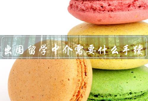办理出国留学中介需要什么手续，选择中介机构、提交申请材料