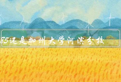 985还是加州大学河滨分校，师资力量、学科建设、国际影响力