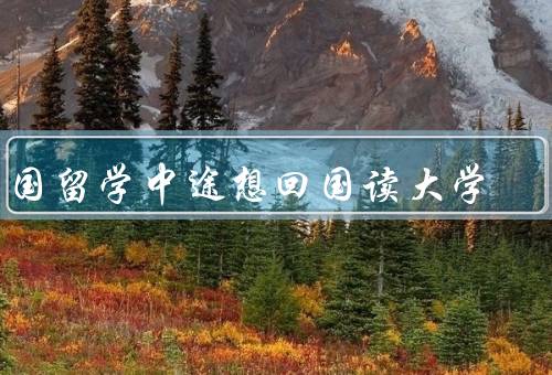 出国留学中途想回国读大学，学习环境的变化、生活适应的挑战