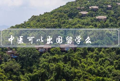 中医可以出国留学么（中医的理论基础、国际认可程度）
