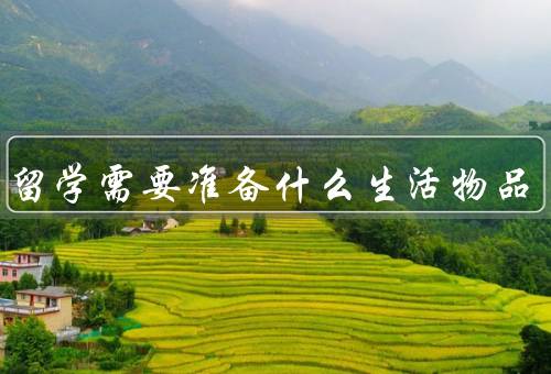 出国留学需要准备什么生活物品，行李箱、护照和签证、电子设备