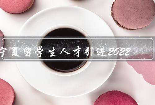 宁夏留学生人才引进2022，政策、服务、成果