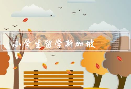 小学生留学新加坡