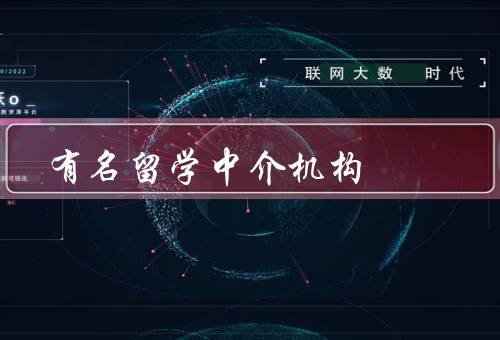 有名留学中介机构（留学申请、签证办理、文书写作）