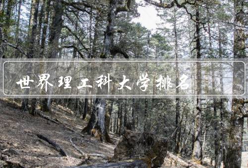 世界理工科大学排名，背景／评估指标／影响