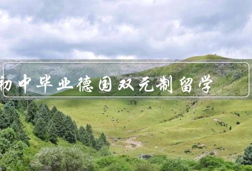 初中毕业德国双元制留学（特点／优势／挑战）