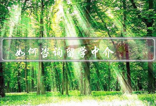 如何咨询留学中介（准备工作、选择中介、咨询过程）