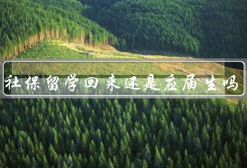 交了社保留学回来还是应届生吗（改变就业身份、对求职有何影响）