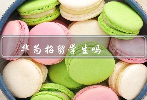 华为招留学生吗（多元化背景／专业知识和技能／国际视野和语言能力）