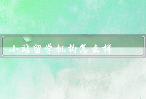 小站留学机构怎么样（学校选择、申请流程、服务质量）