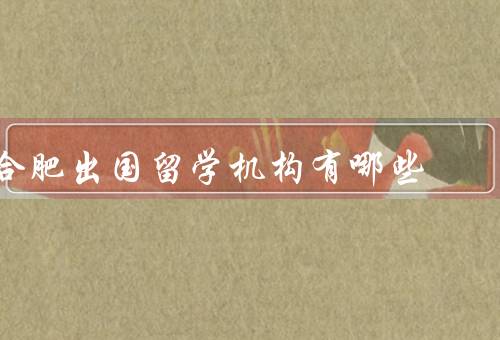 合肥出国留学机构有哪些（中心／出国咨询中心／服务中心）