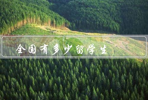 全国有多少留学生（总体情况／不同留学层次的分布／回国就业情况）