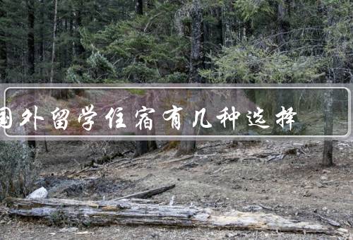 国外留学住宿有几种选择，在校宿舍／校外公寓／私人租房