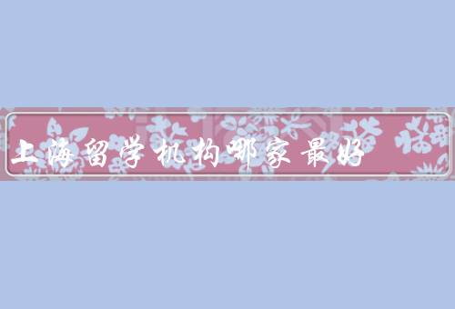上海留学机构哪家最好，澳际留学／环球雅思教育／上外留学