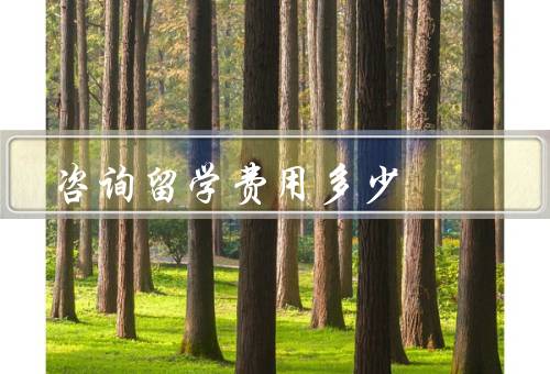 咨询留学费用多少，留学目的地的影响、学校排名和专业的影响