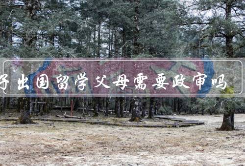 孩子出国留学父母需要政审吗（定义、目的、父母需要进行吗）