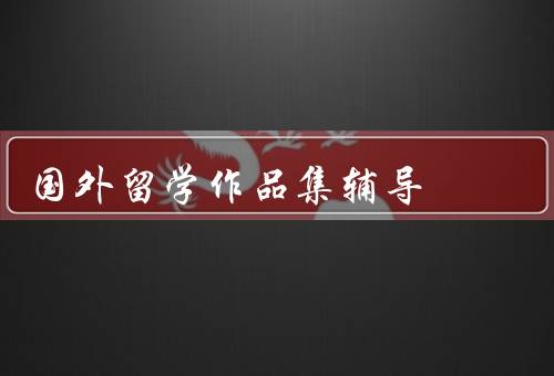 国外留学作品集辅导（项目选择、构思创意、作品展示）