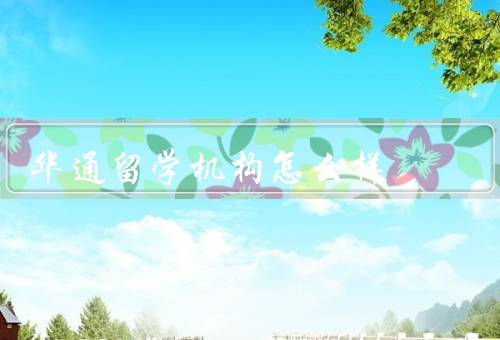 华通留学机构怎么样（专业的咨询团队／丰富的资源和服务）