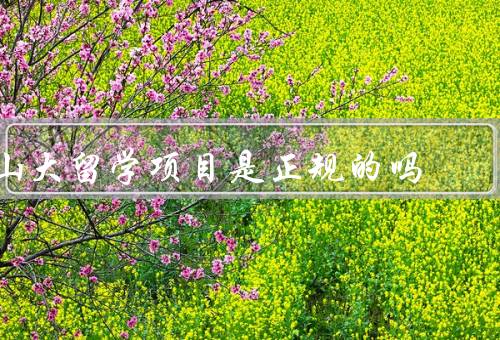 山大留学项目是正规的吗，背景、特点、认可与成果