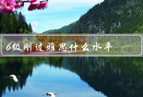 6级刚过雅思什么水平