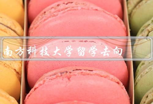 南方科技大学留学去向（就业去向、创业去向、学术研究去向）