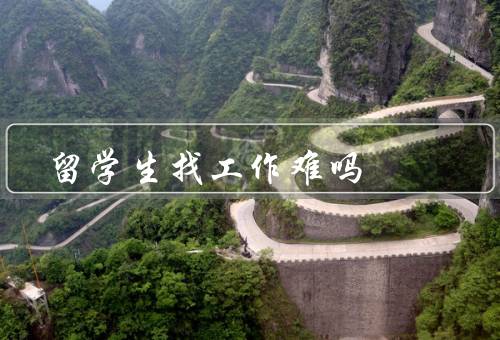 留学生找工作难吗，语言障碍／文化差异／工作签证限制和市场竞争