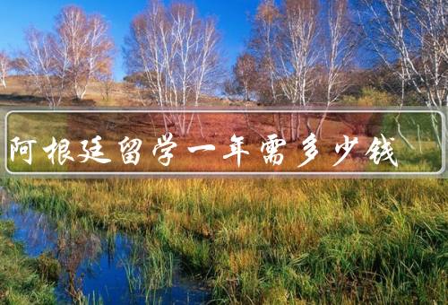去阿根廷留学一年需多少钱（生活费／学费／其他费用）