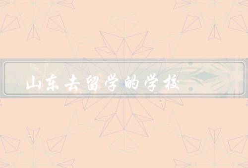 山东去俄罗斯留学的学校（山东大学莫斯科分校）