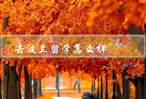 去波兰留学怎么样（教育质量高、文化底蕴深厚、生活便利舒适）