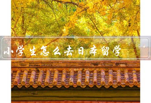 小学生怎么去日本留学（选择留学机构、学习日语、了解日本文化）