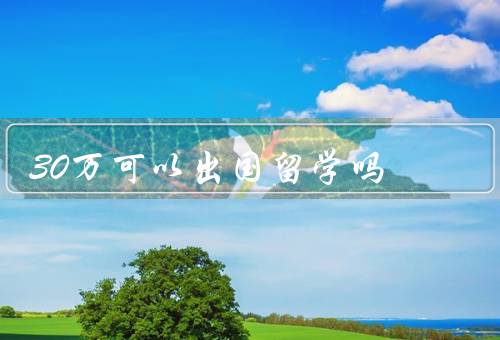 30万可以出国留学吗，留学费用／奖学金和助学金／个人消费和规划