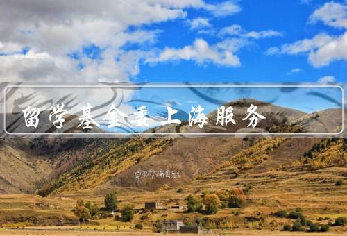 国家留学基金委上海服务中心（主要职责、工作内容、总结）
