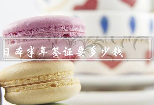日本半年签证要多少钱，签证费用／其他费用／总费用