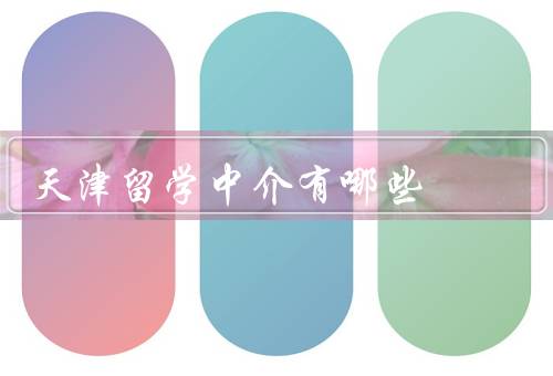 天津留学中介有哪些（中介、咨询、之家）