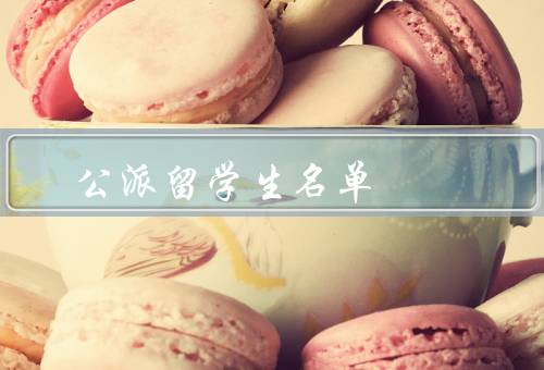 公派留学生名单，意义／选拔标准／管理措施