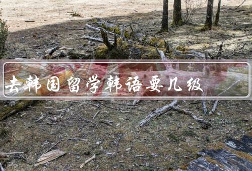 去韩国留学韩语要几级，韩语水平测试、留学要求、提前准备